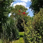 Fohlenhof Hotel 3*